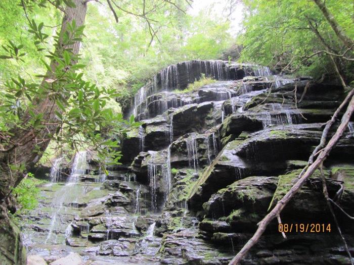 Beautiful and unique Yellow Branch Falls!