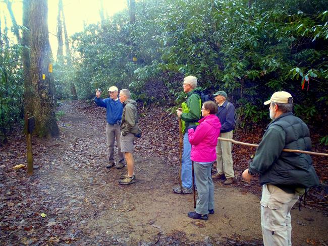 Trail junction of the Bartram Trail at Courthouse Gap.