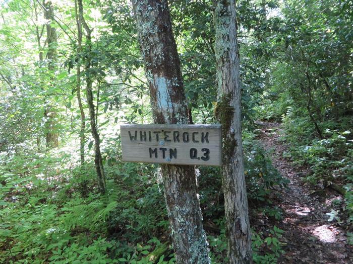 We arrive at the side trail up to Whitrock Mountain.