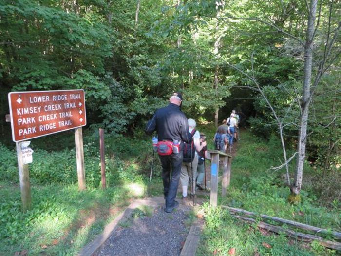 Access trail to Kimsey Creek Trail.