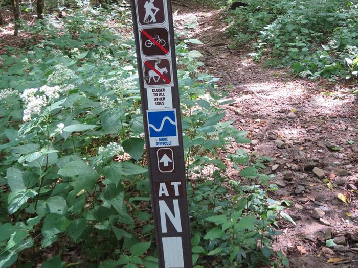 We arrive at Deep Gap on the A.T.