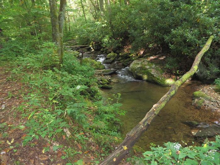 Kimsey Creek