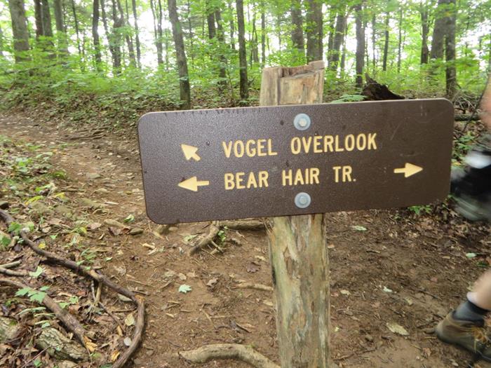 An uphill hike until we get to the top of the loop and take the side trail up to the overlook.