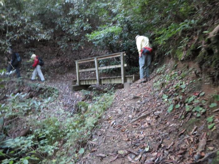 It is a long steep climb up from Warwoman Dell.