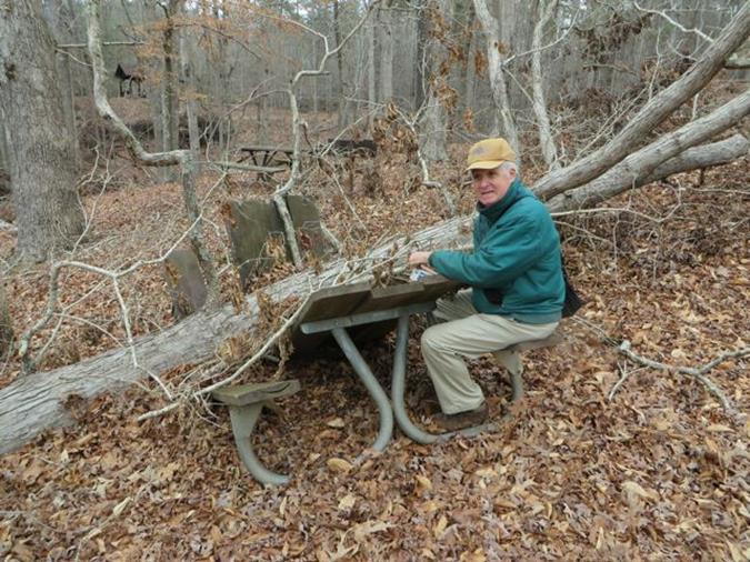 We encountered an unusual number of blowdowns. This one would have spoiled a picnic!