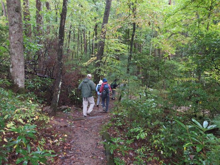 Heading down the Dockery Lake Trail on a perfect weather day!