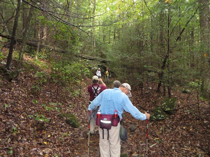 Another great day for a hike!