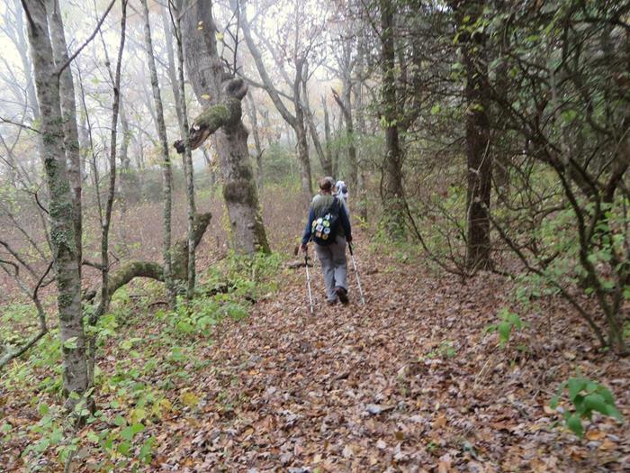 Heading toward Brasstown Bald!