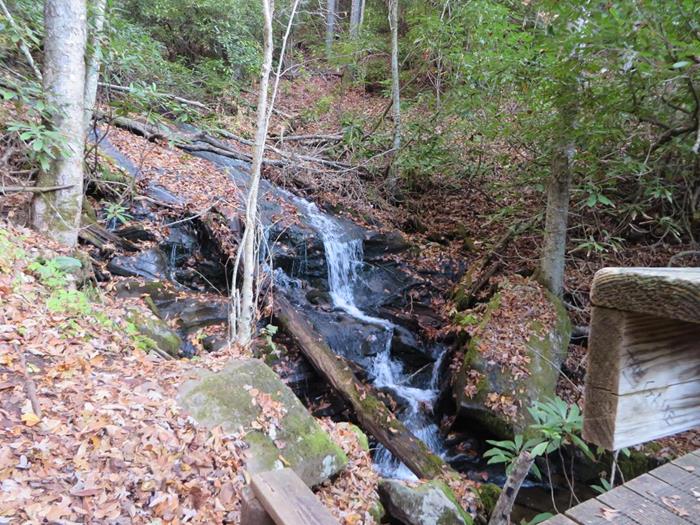 A nice little waterfall early into the hike.