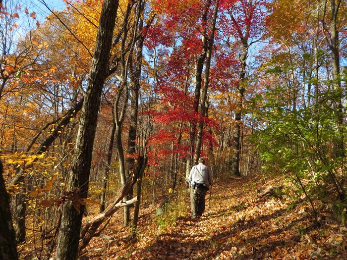 Lots of color along the trail!