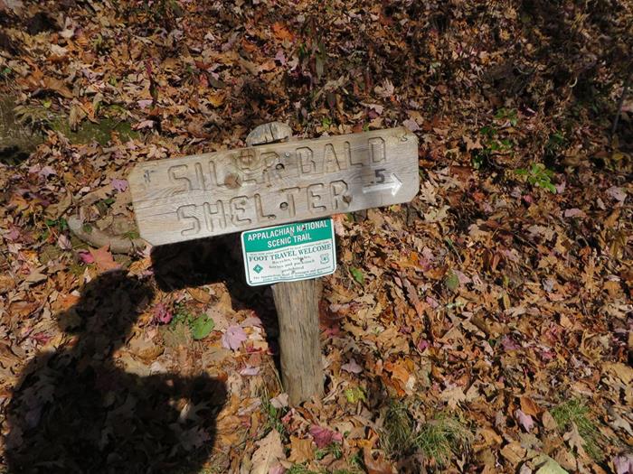 Side trail to the Siler Bald Shelter.
