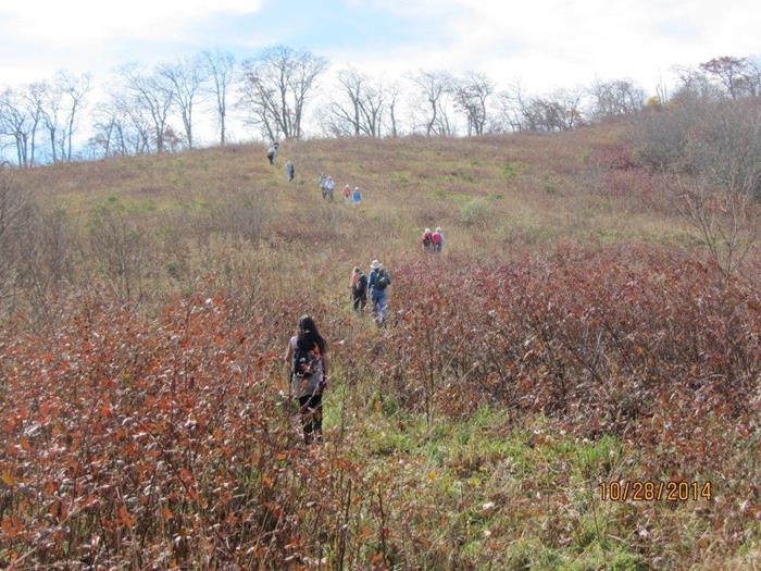 Heading up the grassy slope to Siler Bald.