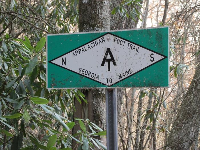 The world famous hiking trail!