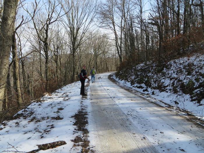 Snowy road from Winespring Bald to Wayah Bald Rd.