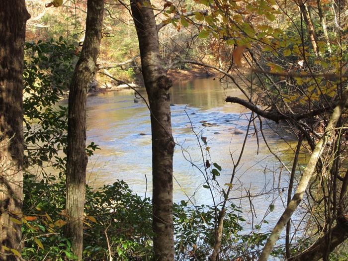 View along the Chattooga River.