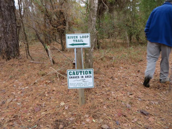 The start of the River Loop Trail.