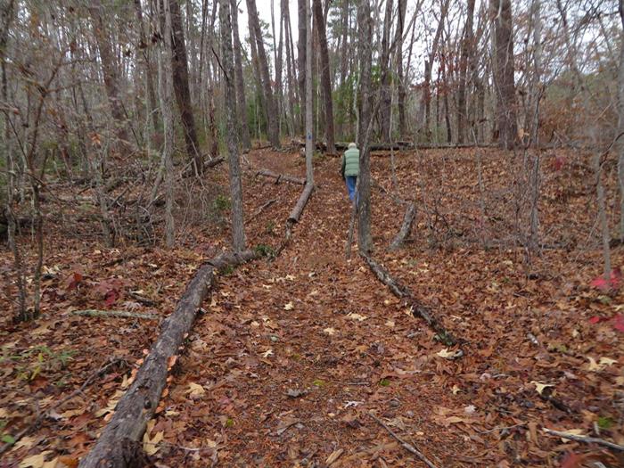 Next, we hiked the Upland Loop Trail.