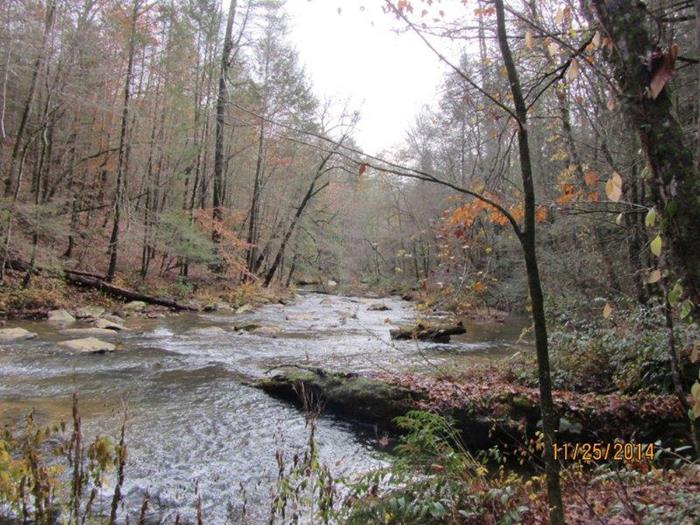 We hiked a mile or so out along beautiful Panther Creek!