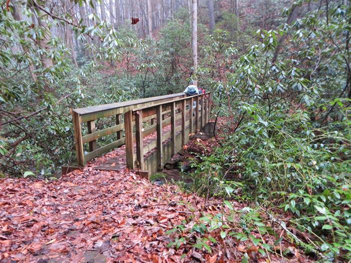 The trail crosses over several nice sized creeks with footbridges.