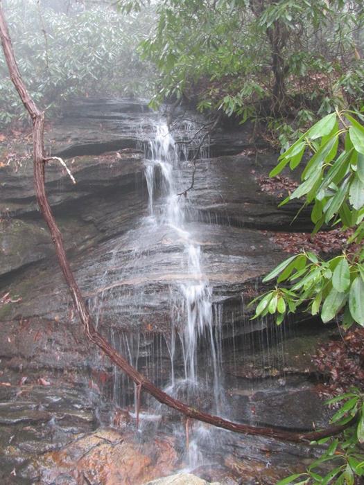 Nice little waterfall early into the hike.
