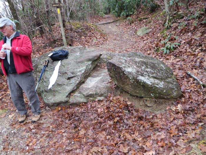 We are at the gap below Rabun Bald.