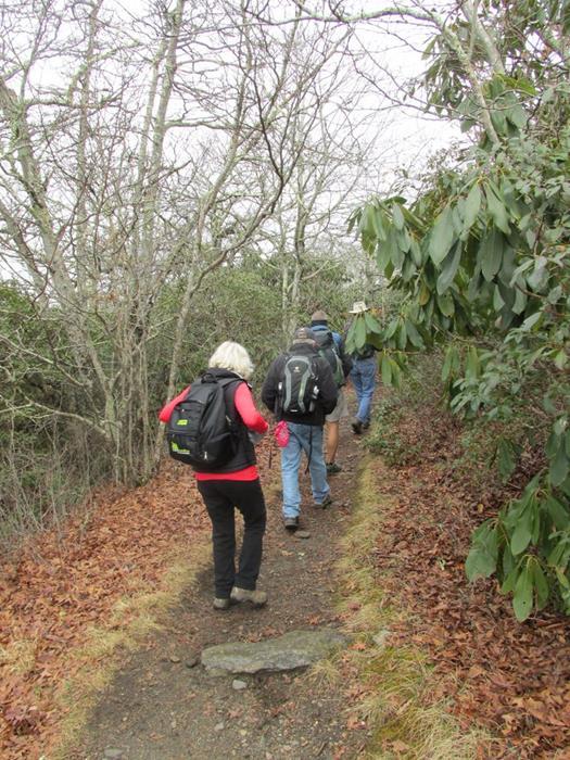 Another great day for a hike!