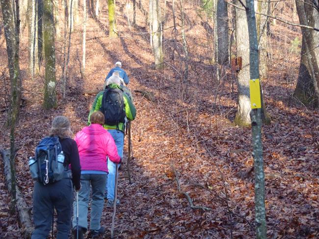 We turn to the left and head toward Windy Gap.