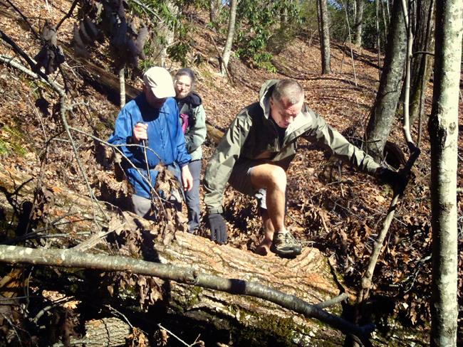 We encounter a large blowdown about a mile from the parking lot.