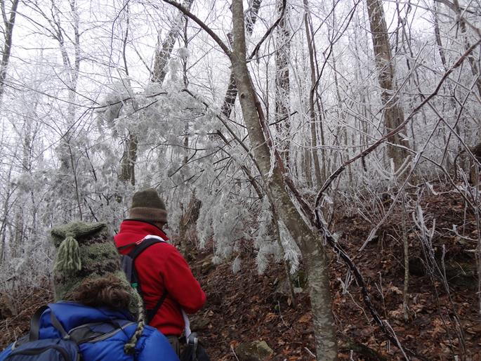 We were treated to a beautiful display of sparkling rime ice all along the trail.