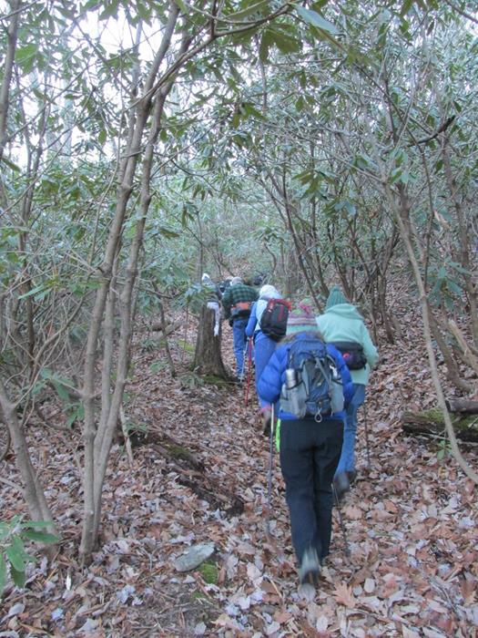 Headed up the connector trail to Courthouse Gap.