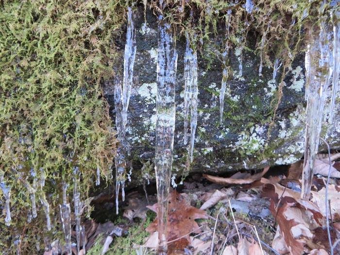 Yes, it was cold!