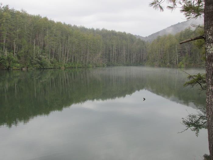 Nice reflective view on the lake!