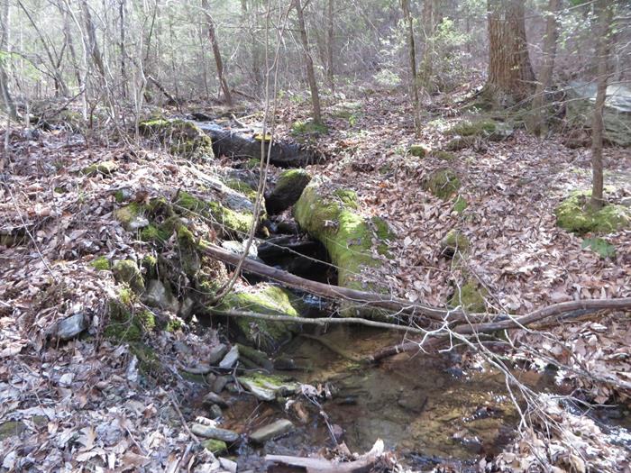 Along the trail we pass several springs and small creeks that feed Town Creek.
