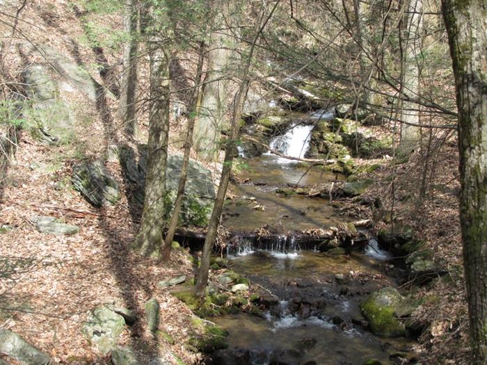 Beautiful Town Creek.