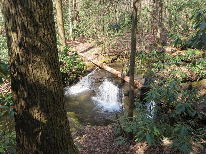 A beautiful spot on the creek!