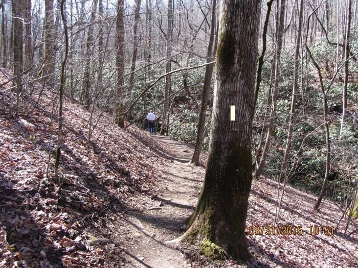Another beautful hike on the Appalachian Trail!