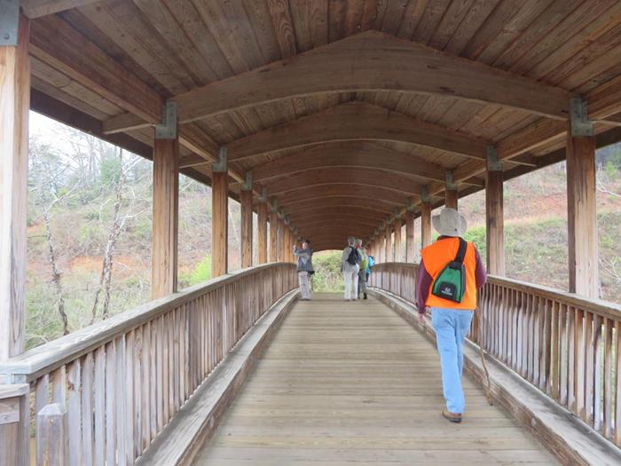 Crossing the river on beautiful Nonah Bridge!