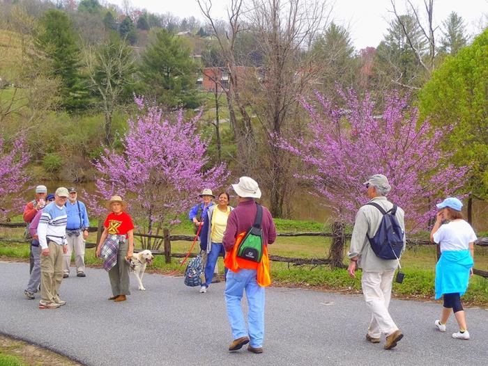 An absolutely beautiful springtime hike!