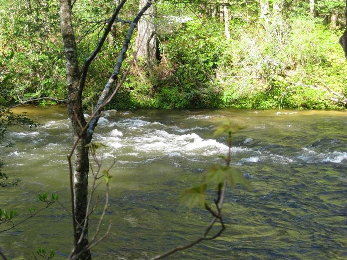 The lower trail follows along the Chattooga River.