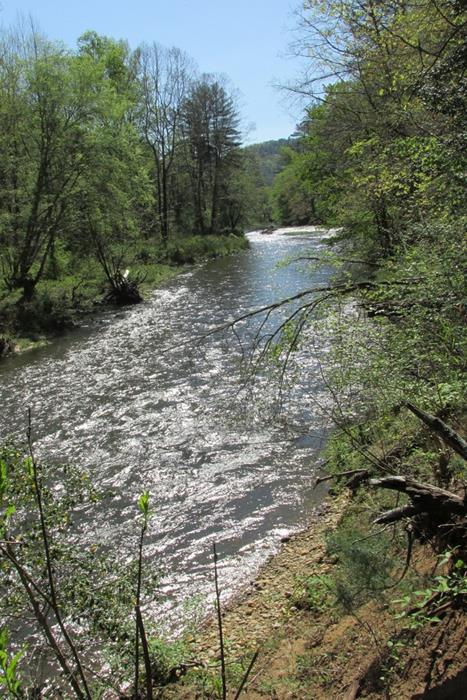 The Federally designated "Wild and Scenic" Chattooga River.