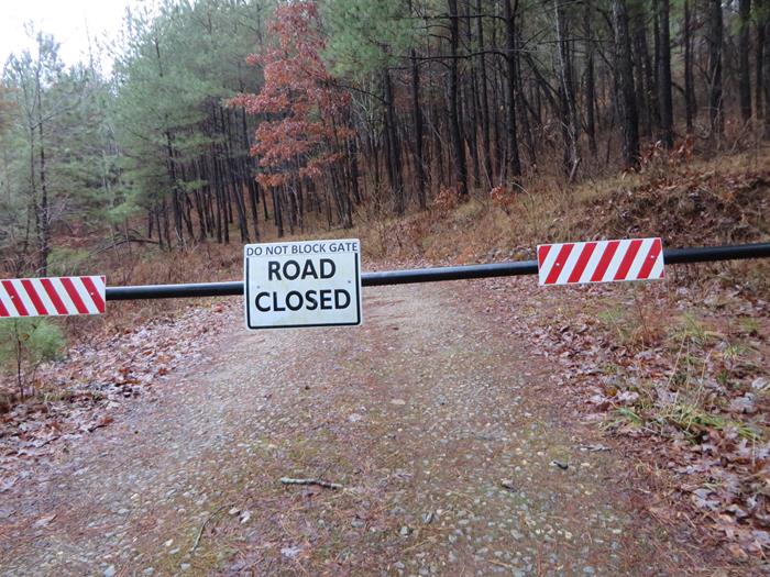 At the second road to the right, we access the Frady Branch Trail System.