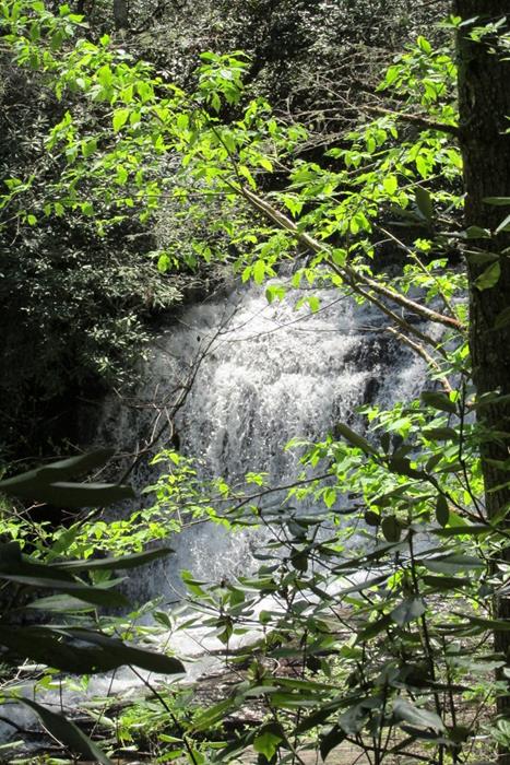 Licklog Creek Falls!
