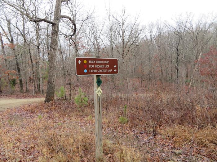 We took the Lathan Cemetery Loop today.