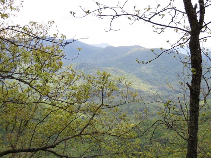 Great mountain views!