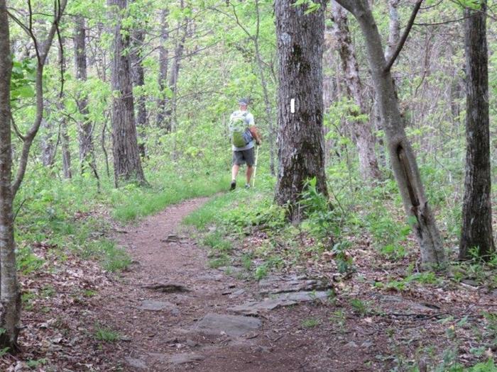Another great day for a hike on the A.T.!