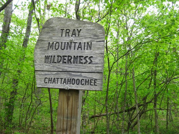 We enter the Tray Mountain Wilderness Area.