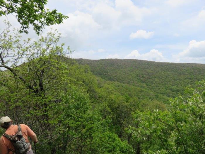 We can now see our destination...Tray Mountain! Elevation 4,430 ft