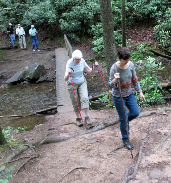 Crossing Dodd Creek . The trail follows this creek all the way.