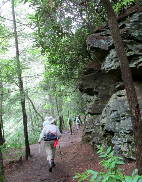 An absolutely beautiful trail!
