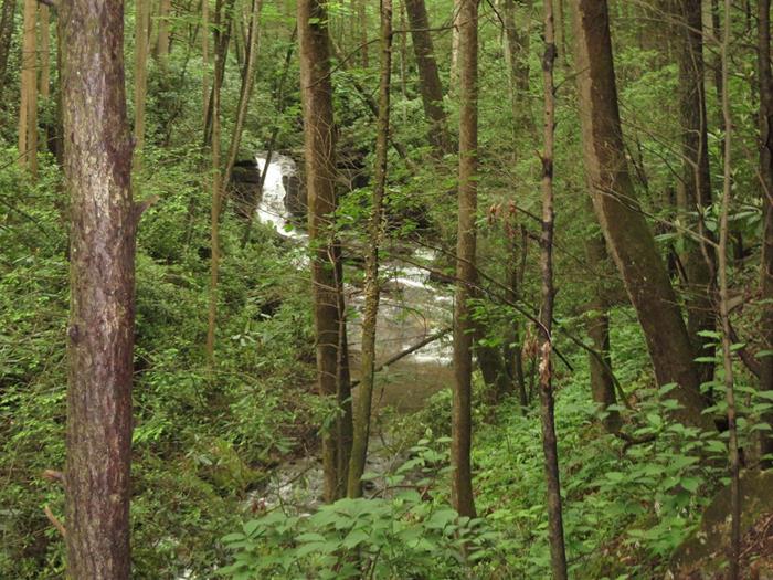 Typical view along the trail!